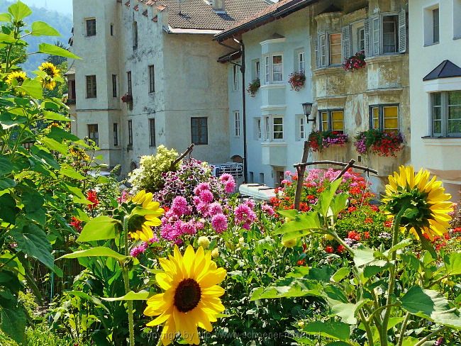 Radltour von Siegertsbrunn nach Meran