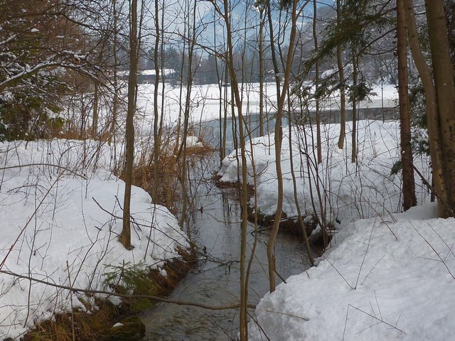 Rundgang um den Stimmersee bei Kufstein 4