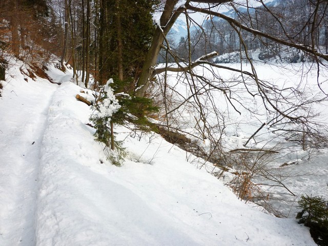 Rundgang um den Stimmersee bei Kufstein 5