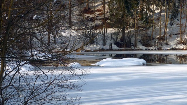 Rundgang um den Stimmersee bei Kufstein 4