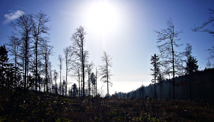 Herbst in Tschechien 2