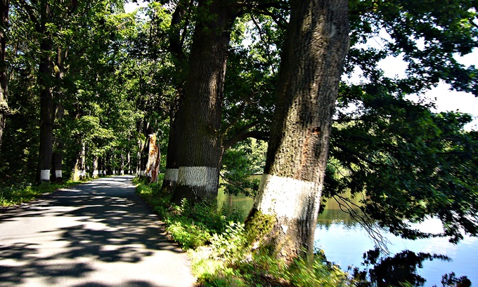 Die Seenlandschaft um Trobon 2