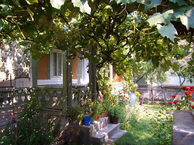 RO:Hinterhof1