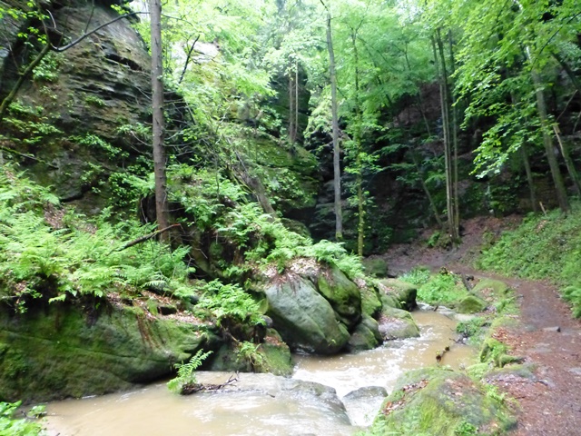 Elbsandsteingebirge > Wanderung einige Tage vor der großen Flut 2