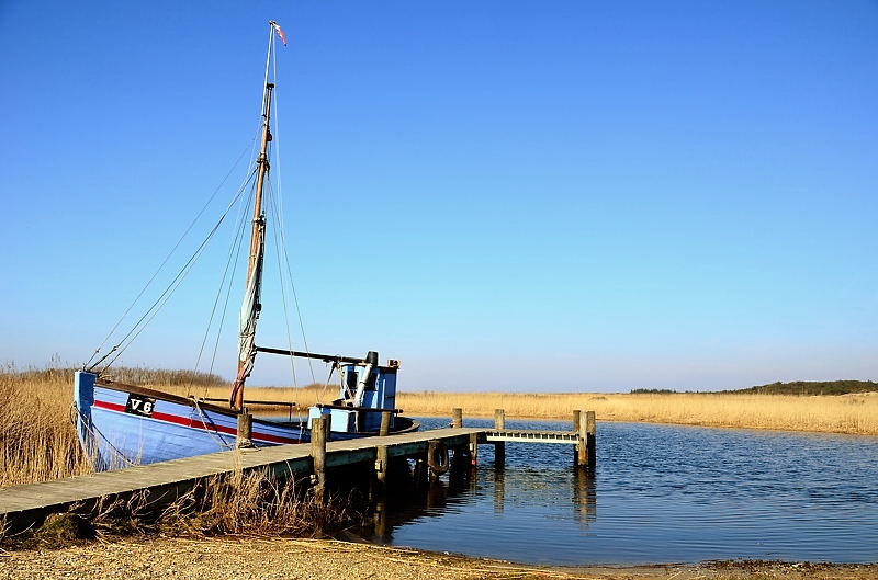 Ringkøbing Fjord DSC_9489