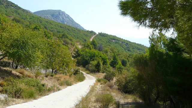 Herbst 2011, 9 Wanderung Kozjak