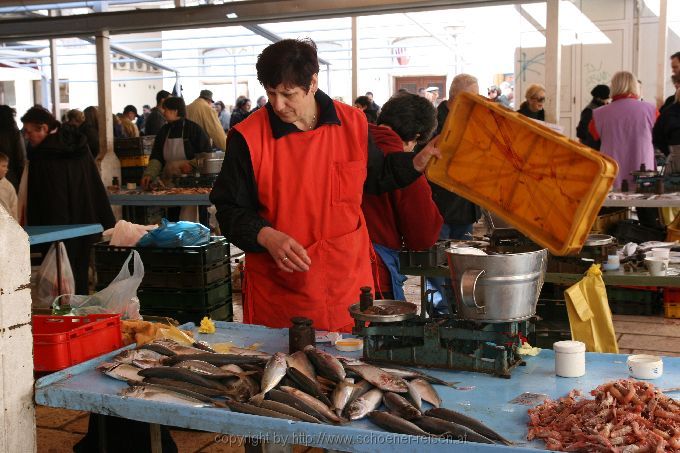 SPLIT im März > Fischmarkt