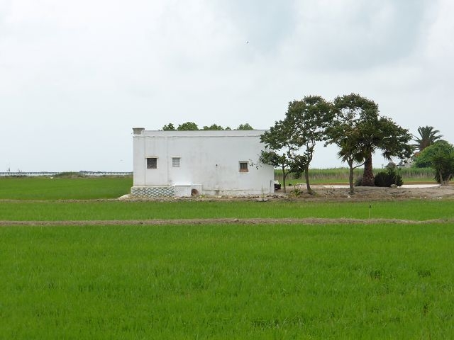 Ebro-Delta