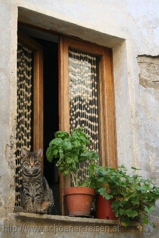 PITIGLIANO