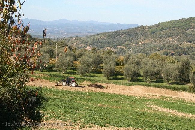 PROVINZ SIENA > Seggiano