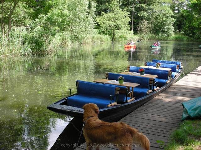 SPREEWALD > Lübbenau > 23 Campingplatz am Schloßpark