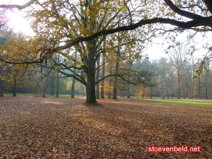 Herbst im Paleispark Apeldoorn 4