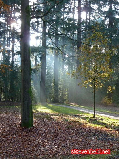 Herbst im Paleispark Apeldoorn 5