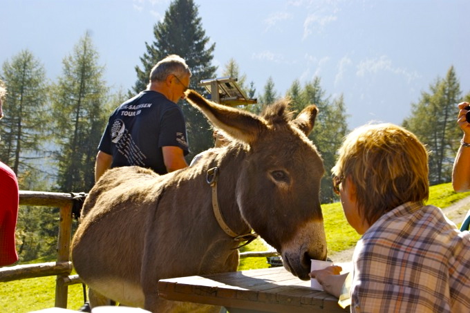 REIN in Taufers 8