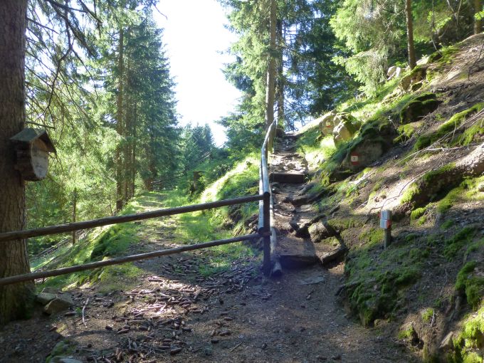 Karersee>Elisabeth-Promenade>Waldweg>Umleitung