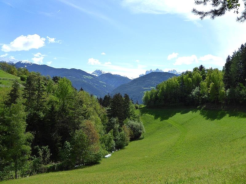 Panoramaweg Feldthurns-Garn-Verdings