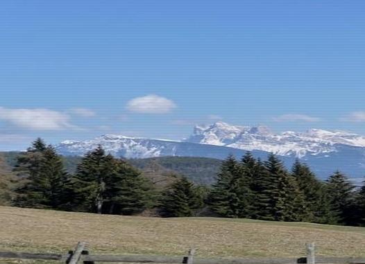 k-P1050056_1