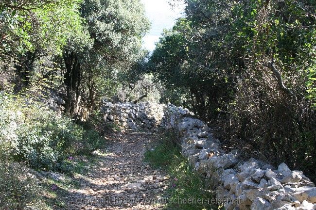 Insel Losinj > Wanderweg