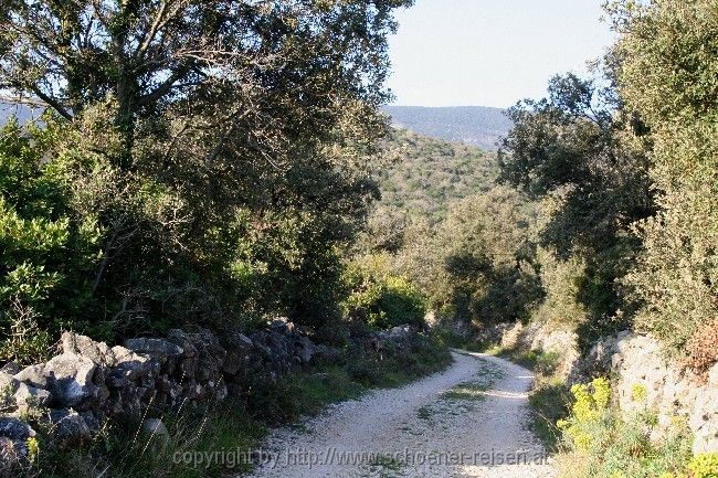 Insel Losinj > Wanderweg