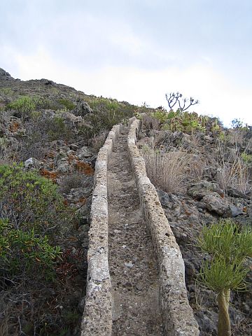 Teneriffa Roque Imoque 5