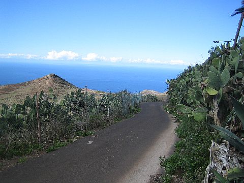Teneriffa Teno Gebirge 6