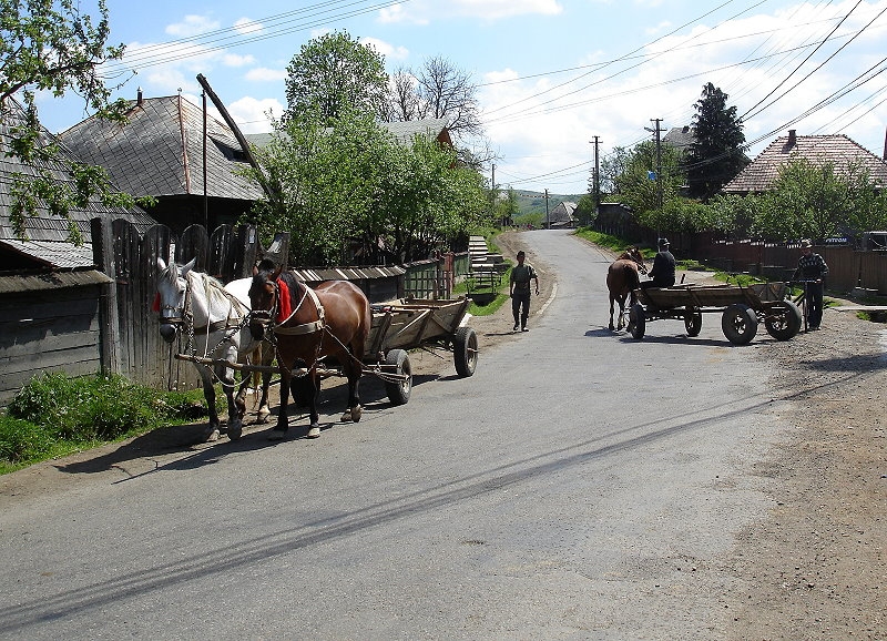 Borsa > Fahrt ins Gebirge