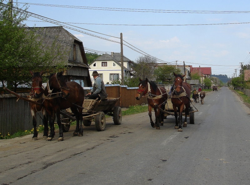 Borsa > Fahrt ins Gebirge