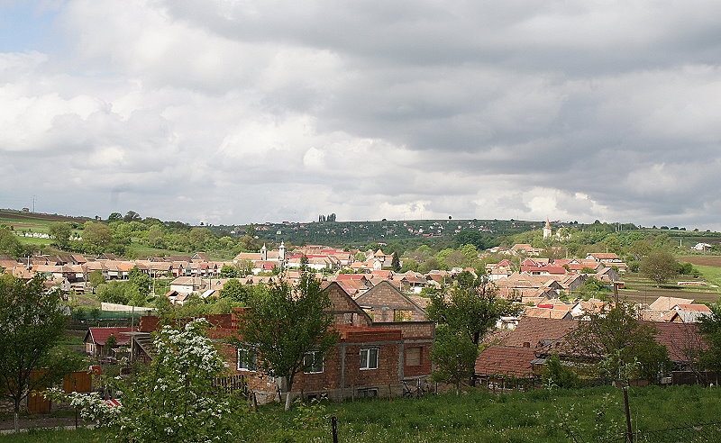 Daia (Dhalheim) > Wehrkirche