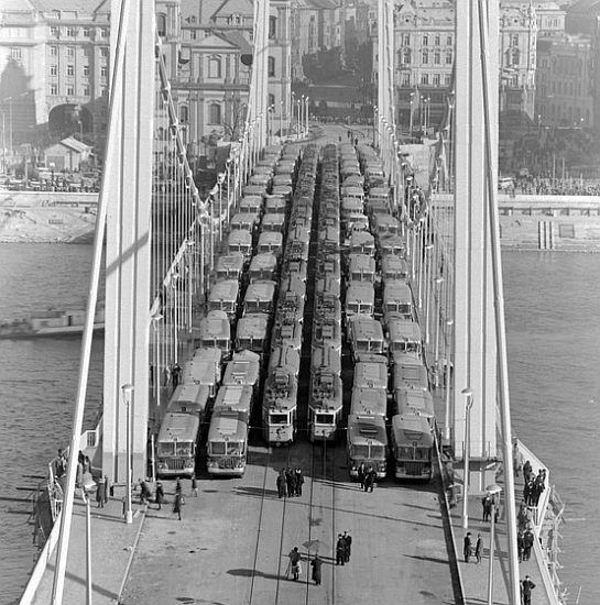 H:Budapest>Denkmalrundgang1>Elisabethbrücke005