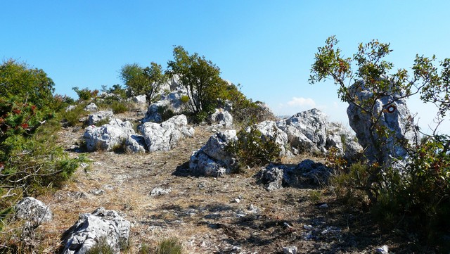 Herbst 2011, 13,Kozjak, Sv. Ivan 5