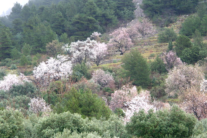 bei Gradac