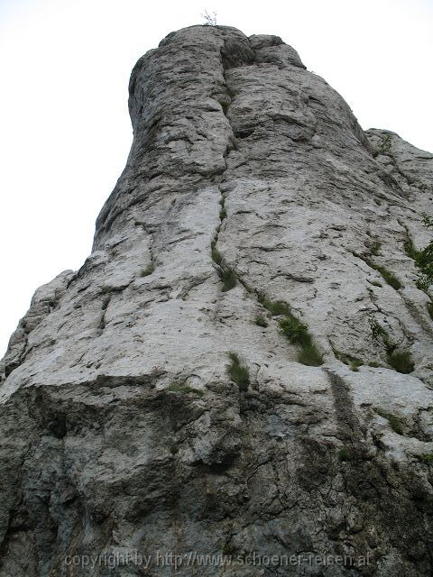 KARLOBAG > Nationalpark Velebit > Safari 8