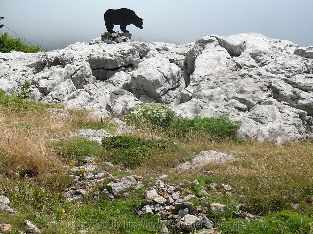 KARLOBAG > Nationalpark Velebit > Safari 8