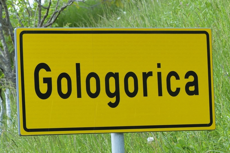 Gologorica