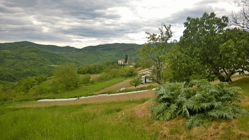 Fahrt zur Kapelle Opatja