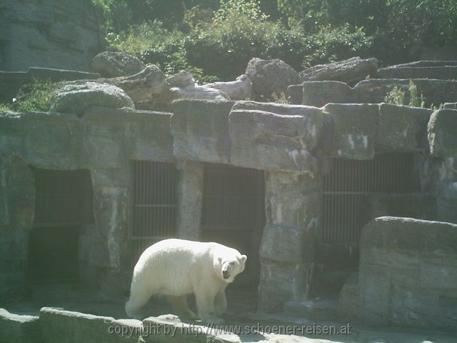 TIERGARTEN > 4