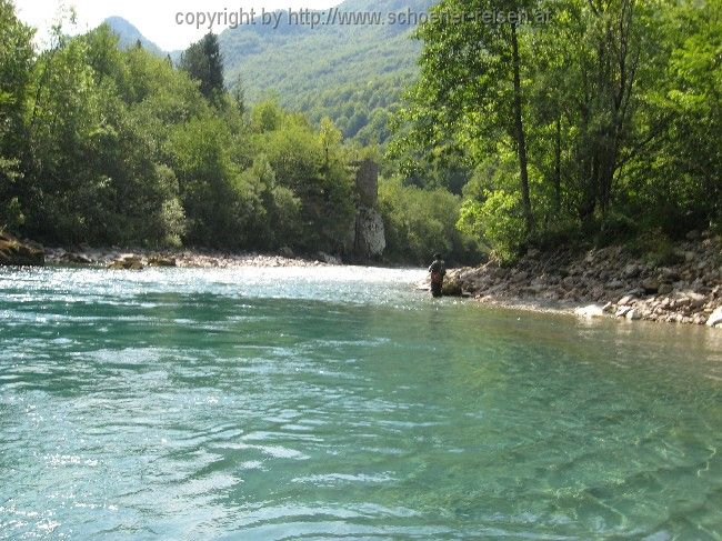 Rafting auf der Tara 7