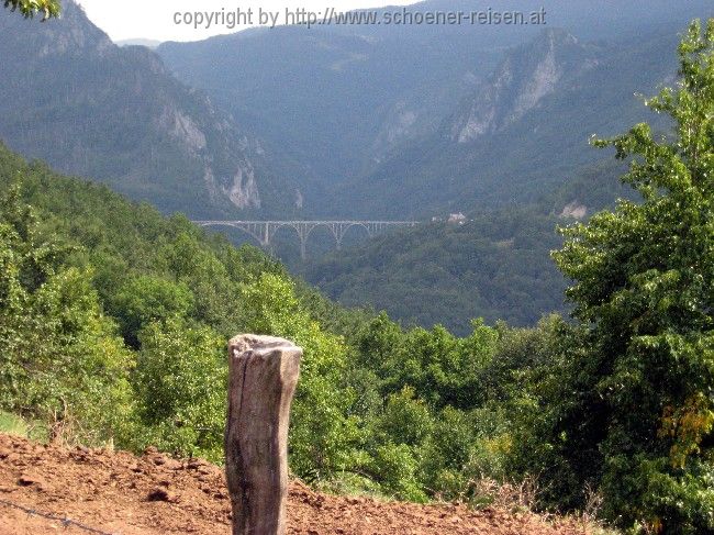 Rafting auf der Tara 5