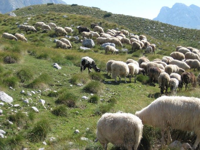 DURMITOR > Sedlopass