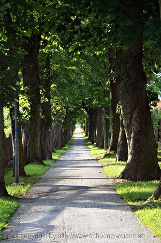 Weitra / Promenade / Kastanienallee