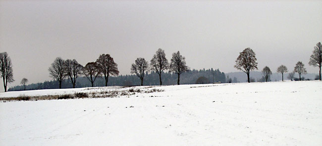 Waldviertler Winter