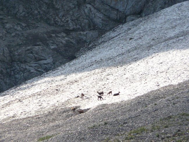 Radltour zur Feilalm oberhalb des Achensees