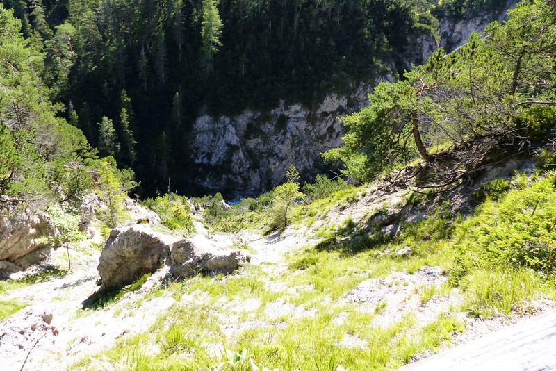 P1010909
