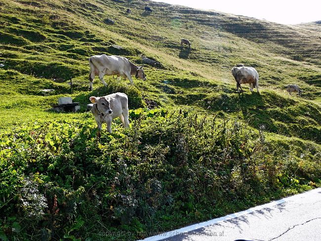 Huttwil und andere Schweizer Höhepunkte