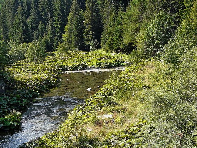 Huttwil und andere Schweizer Höhepunkte