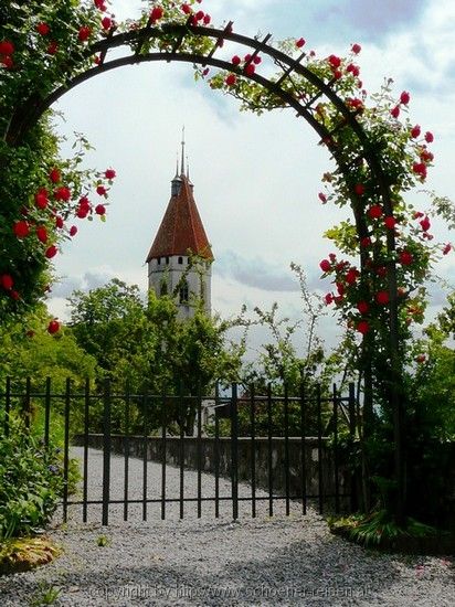 SCHWEIZ>Berner Oberland-bei Thun