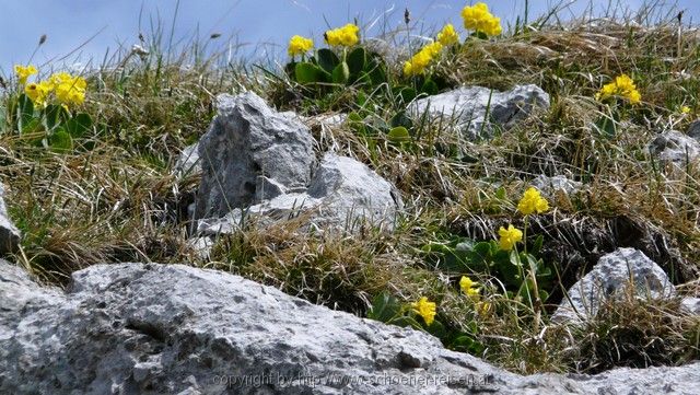 SCHWEIZ>Berner Oberland-bei Thun