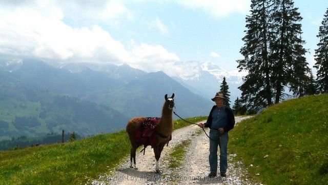 SCHWEIZ>Berner Oberland-bei Thun