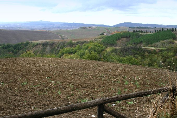CRETE > bei Asciano
