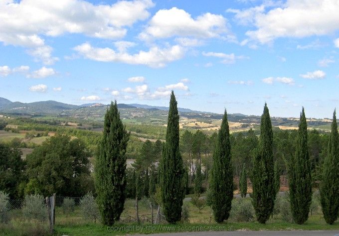 SAN GALGANO < Monte Siepi